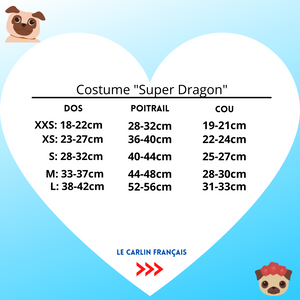 Costume de Super Dragon - Le Carlin Français